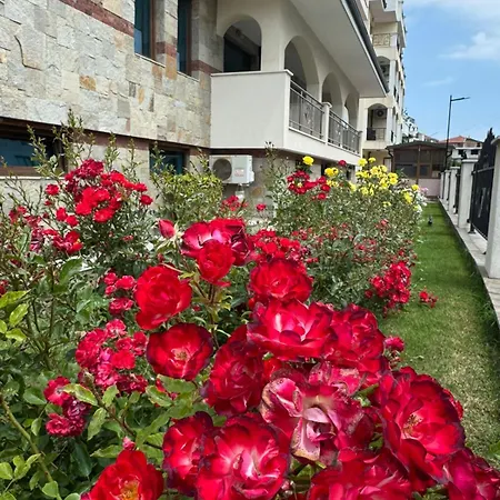 Cozy 1 Bed In Lesso Complex 公寓